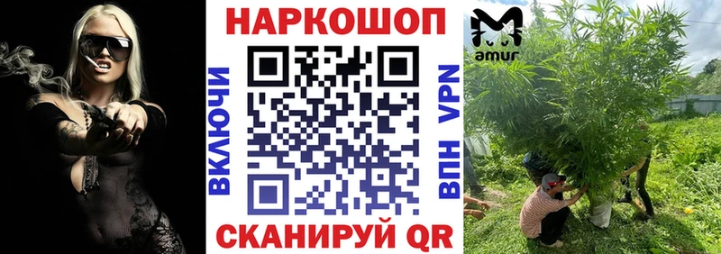 Где купить Петровск-Забайкальский Кетамин Бошки Шишки АМФ