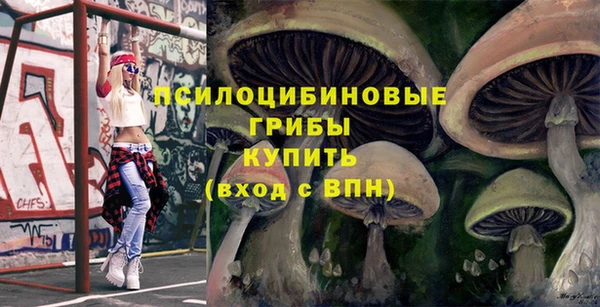 бутират Гусь-Хрустальный