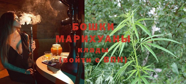 прущие крисы Гусев